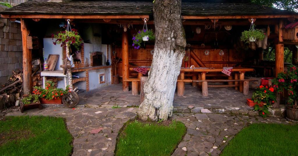 Pension Casa Contelui Rasnov Exterior foto