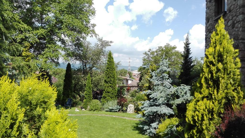Pension Casa Contelui Rasnov Exterior foto
