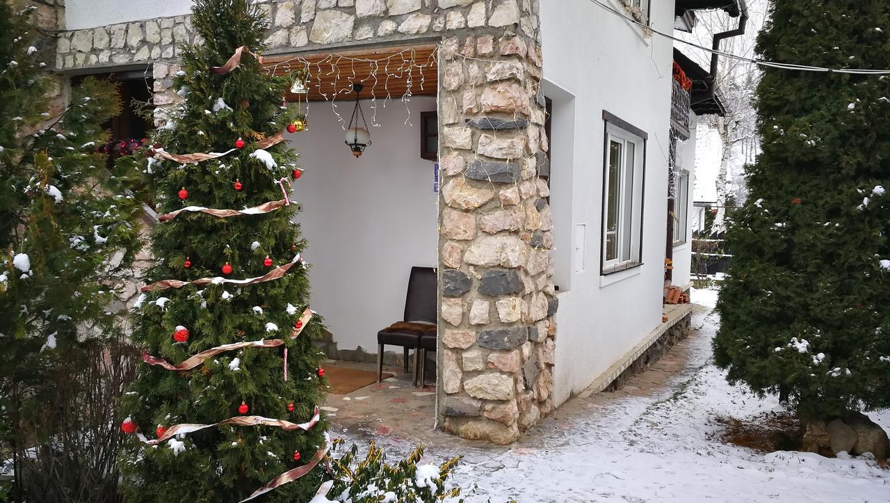 Pension Casa Contelui Rasnov Exterior foto