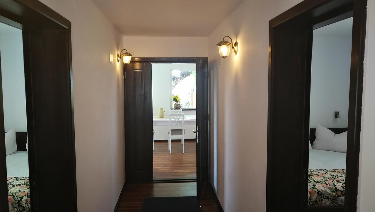 Pension Casa Contelui Rasnov Exterior foto